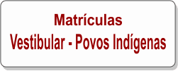 POVOS INDÍGENAS 2025.png